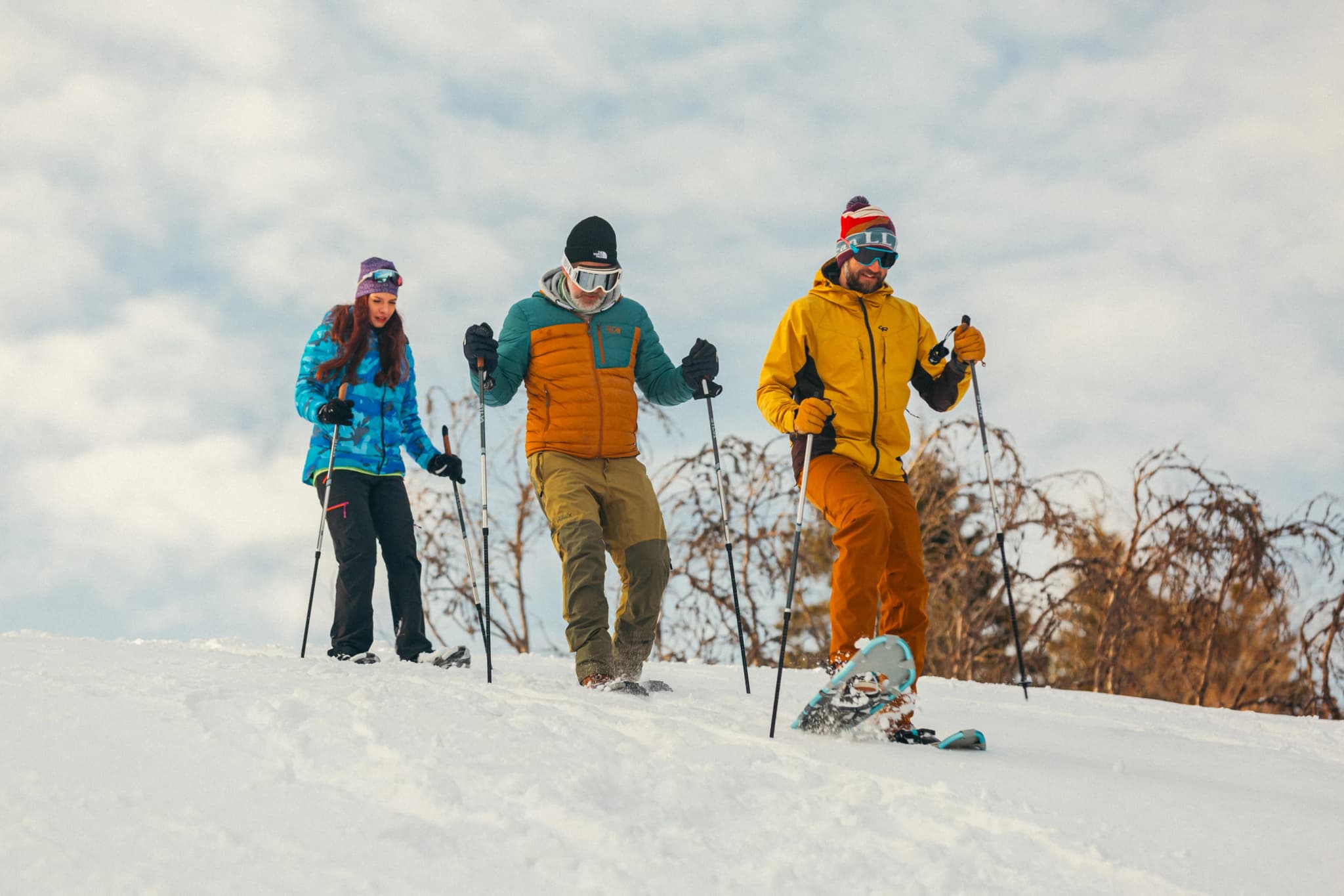 Thrilling Oslo Guided Snowshoe Tour: Scenic Winter Fun — photo 2